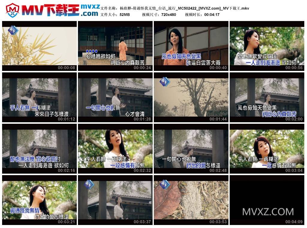 杨欣桦-毋通怪我无情_台语_流行_MC502422